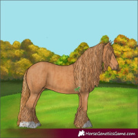 Horse Color:Chestnut  and Chestnut 
