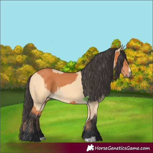 Horse Color:Bay  and Buckskin 