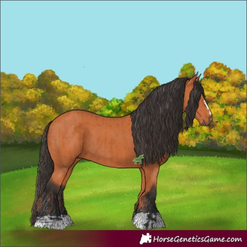 Horse Color:Bay  and Bay 