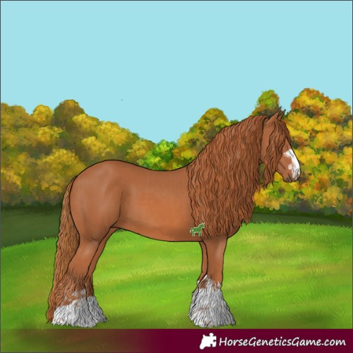 Horse Color:Chestnut  and Chestnut 