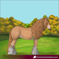 Horse Color:Chestnut  and Chestnut 