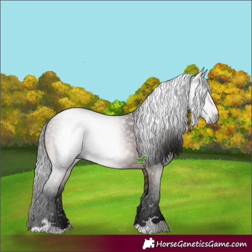Horse Color:Gray Bay 