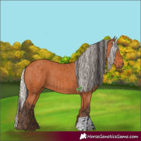 Horse Color:Bay  and Silver Bay 