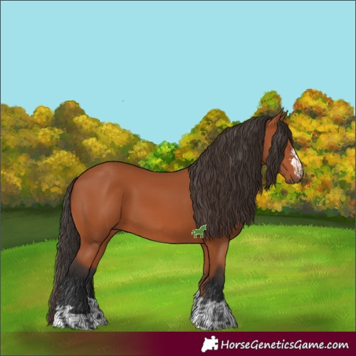 Horse Color:Bay  and Bay 