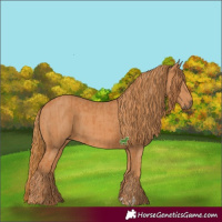 Horse Color:Chestnut  and Chestnut 