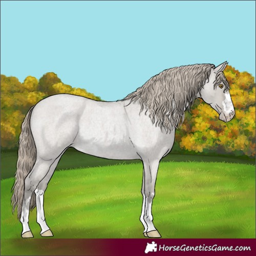 Horse Color:Classic Cream Champagne Roan Dun Appaloosa Rabicano 