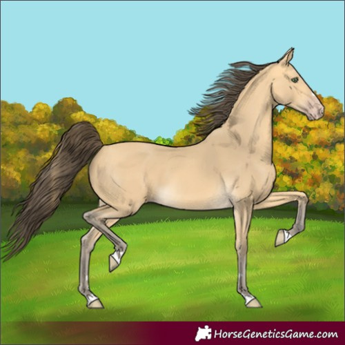 Horse Color:Amber Cream Champagne 