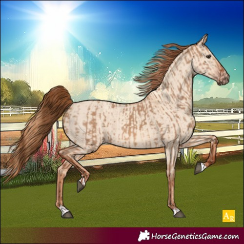 Horse Color:Red Dun  and Gold Champagne Dun 