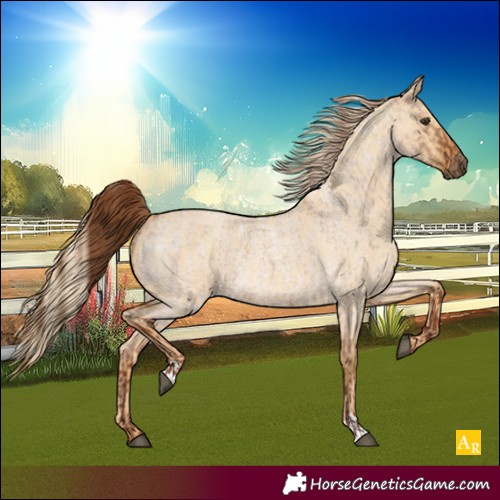Horse Color:Red Dun Roan  and Palomino Roan Dun 
