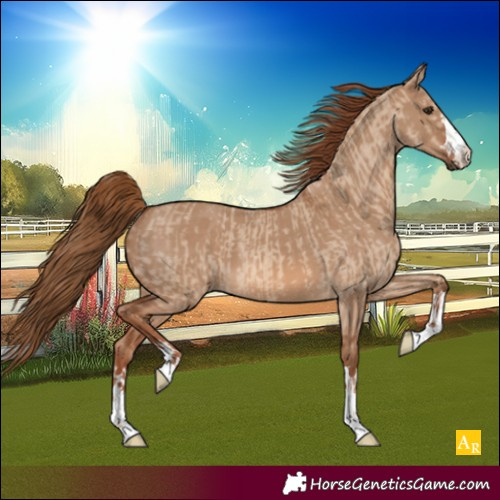 Horse Color:Red Dun  and Red Dun 