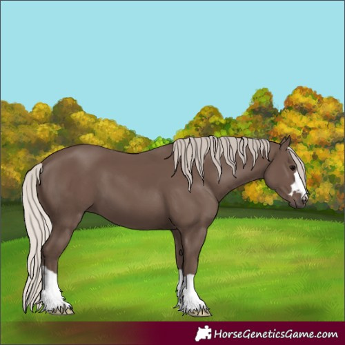 Horse Color:Silver Black 