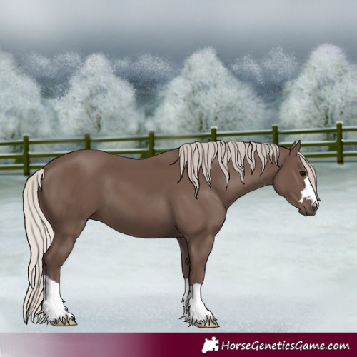 Horse Color:Silver Black