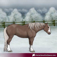 Horse Color:Silver Black 