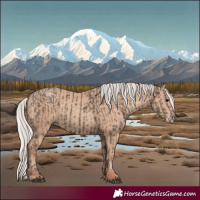 Horse Color:Silver Black  and Silver Classic Champagne 
