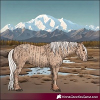 Horse Color:Silver Black  and Silver Classic Champagne 