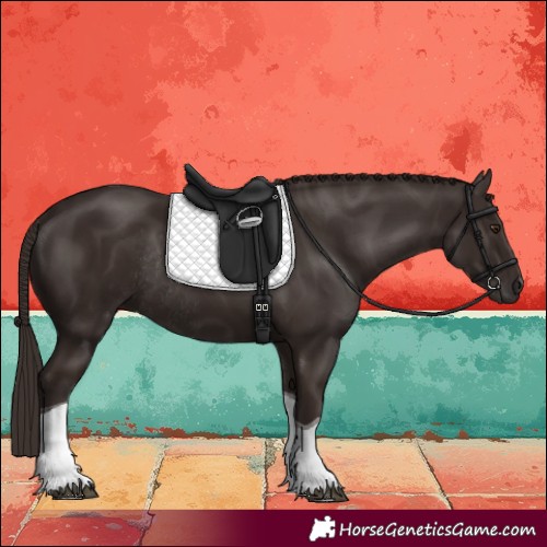 Horse Color:Liver Chestnut Tobiano Rabicano 