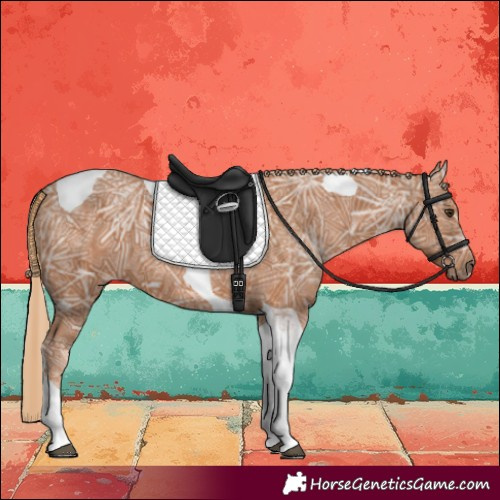 Horse Color:Chestnut Ice Tobiano 