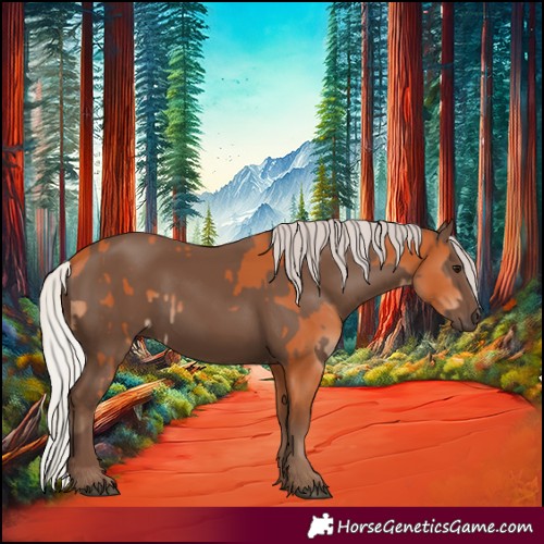 Horse Color:Silver Bay  and Silver Black 