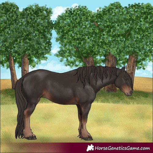 Horse Color:Liver Chestnut