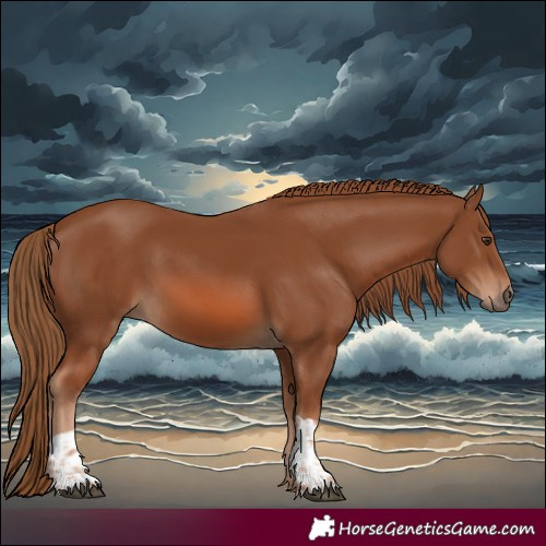 Horse Color:Chestnut and Chestnut
