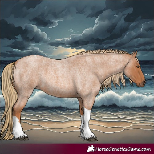 Horse Color:Red Roan Tobiano 