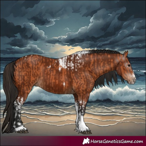Horse Color:Bay Tobiano Frame  and Gray Bay Tobiano Frame 