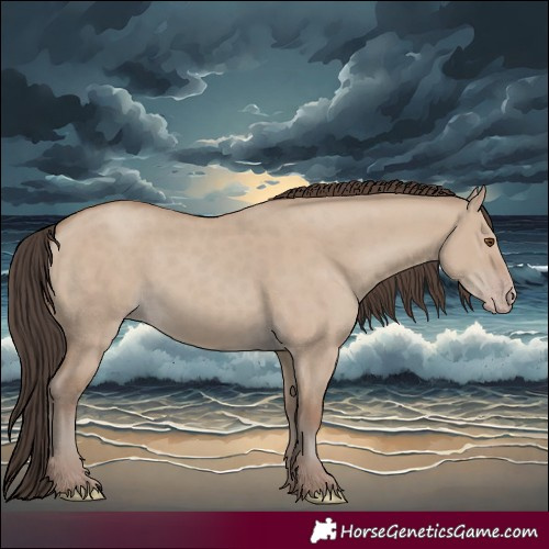 Horse Color:Classic Champagne Dun