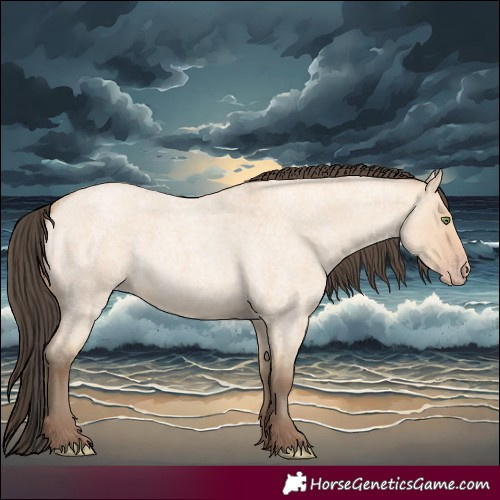 Horse Color:Amber Champagne Roan Dun