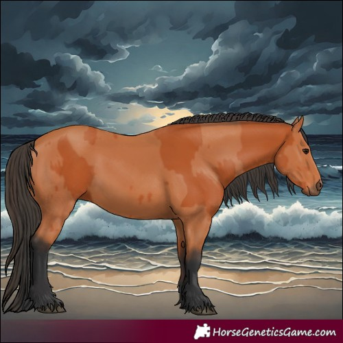 Horse Color:Bay  and Bay 
