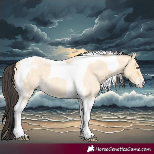 Horse Color:Buckskin Roan Dun Tobiano and Buckskin Roan Dun Tobiano
