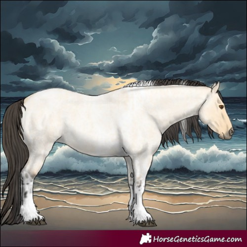 Horse Color:Buckskin Roan Dun Tobiano and Buckskin Roan Dun Tobiano