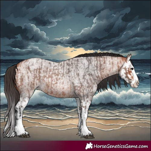 Horse Color:Bay Roan Splash  and Bay Roan Splash 