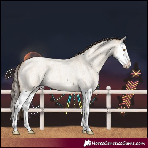Horse Color:Classic Champagne Roan Dun Splash 