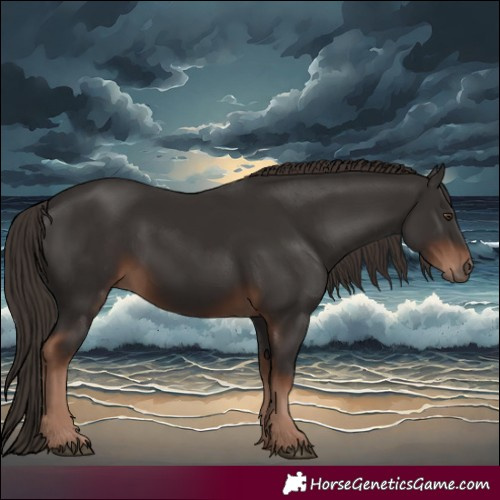 Horse Color:White Spotted Liver Chestnut