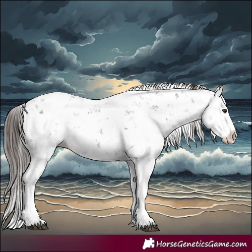 Horse Color:Liver Chestnut Sabino Splash Snowflake Varnish