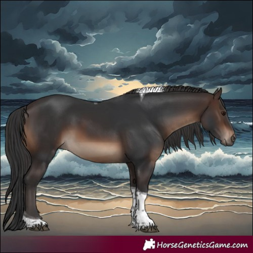Horse Color:Brown Tobiano Rabicano