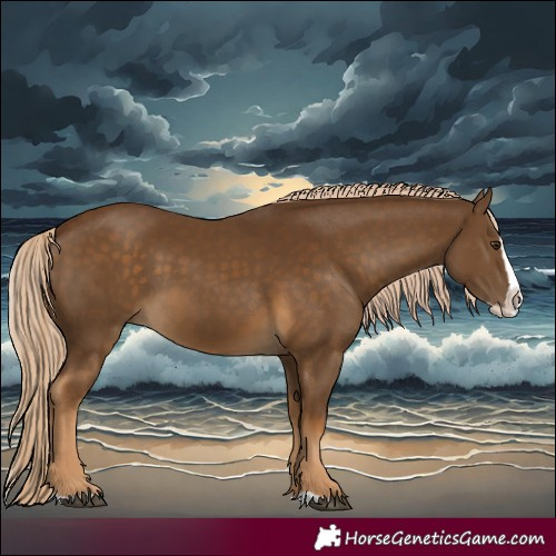 Horse Color:Chocolate Palomino Splash