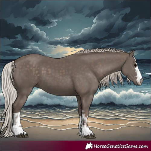 Horse Color:Silver Black and Silver Black