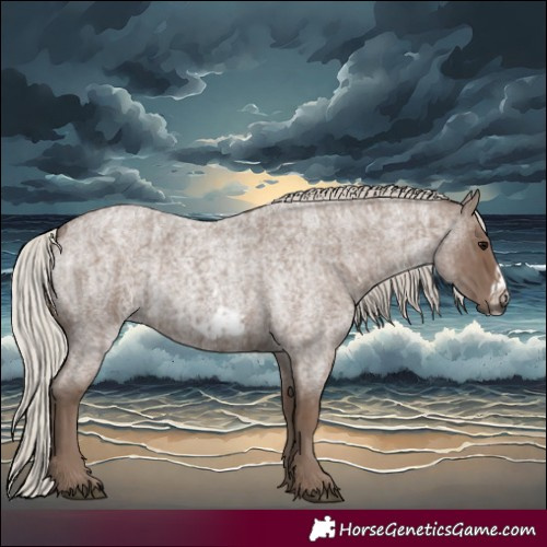 Horse Color:Silver Blue Roan and Silver Blue Roan Frame
