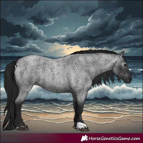 Horse Color:Blue Roan  and Gray Blue Roan 