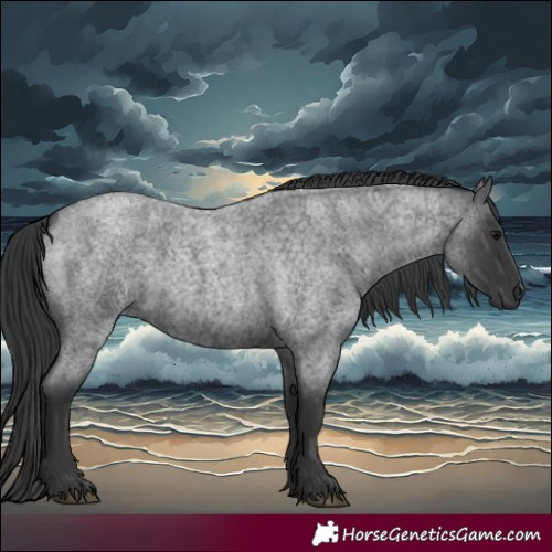 Horse Color:Blue Roan  and Blue Roan 