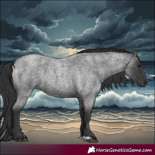 Horse Color:Blue Roan 
