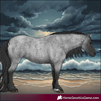 Horse Color:Blue Roan 