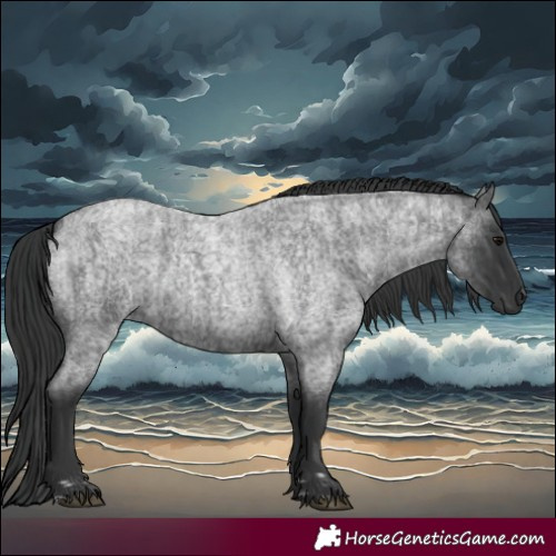 Horse Color:Blue Roan and Blue Roan
