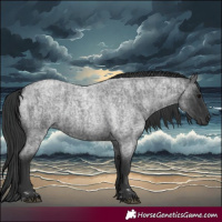 Horse Color:Blue Roan and Blue Roan