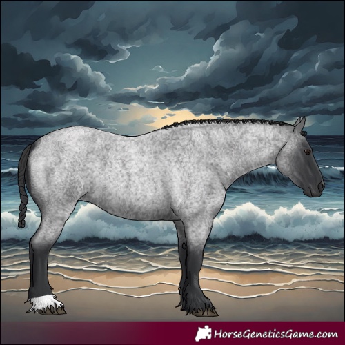 Horse Color:Blue Roan 