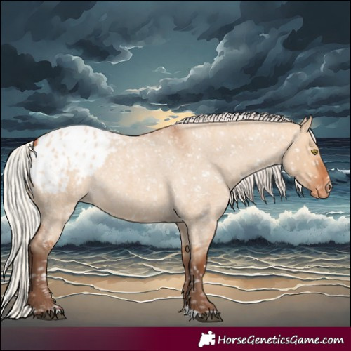 Horse Color:Silver Bay Roan Dun Appaloosa Rabicano 