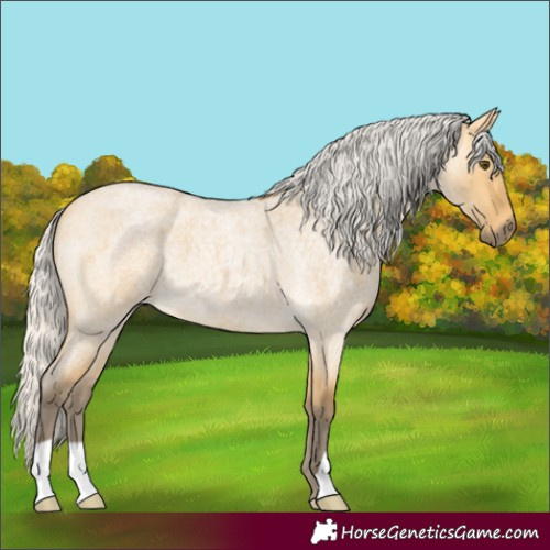 Horse Color:Silver Buckskin Roan Dun