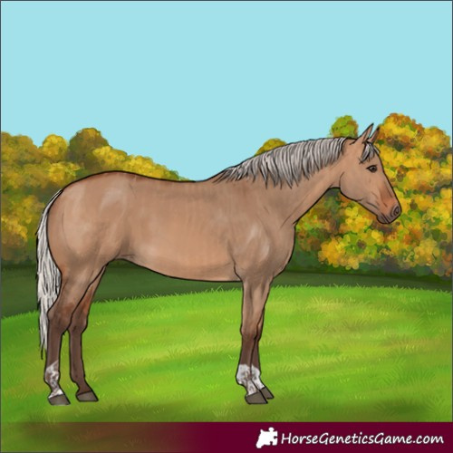 Horse Color:Silver Bay Dun  and Silver Brown Dun 