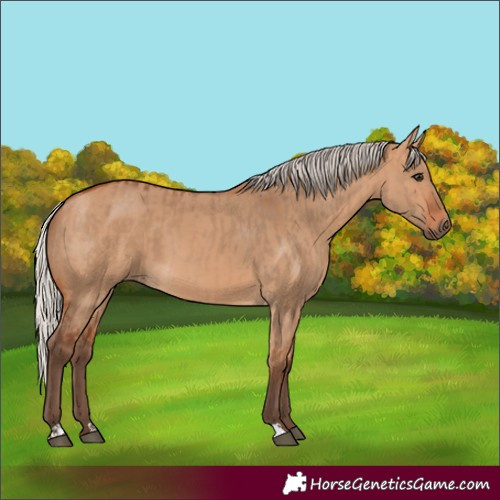 Horse Color:Silver Bay Dun  and Silver Bay Dun 